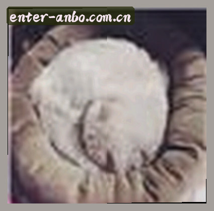 王磊